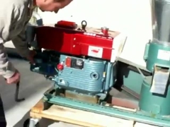 Moinho da pelota da alimentação animal de motor diesel para a fatura da pelota da alimentação das aves domésticas