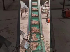 pelota vertical de madeira da máquina 3Phase da pelota do anel 50HZ que faz a máquina 450-700mm