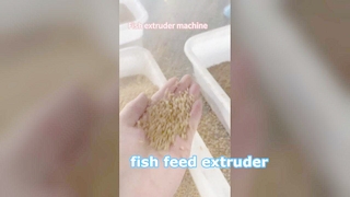 Extrusora de ração para peixes de processo úmido
