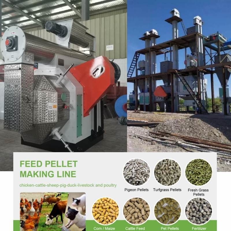 100kg à linha de produção combustível da pelota da alimentação de 10 Ton Pellet Mill Machine Animal da biomassa