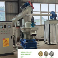 linha de produção 800-1000kg/H da pelota da biomassa 55kw Ring Die Pellet Production Line