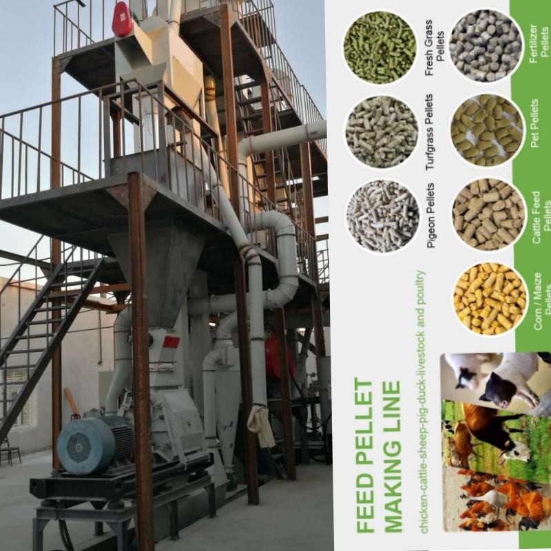 1-5 máquina horizontal de Ring Die Chicken Feed Manufacturing do moinho da pelota de Tons/H