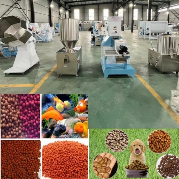 O processamento dos alimentos para animais de estimação faz à máquina peixes de flutuação da máquina do alimento para cães alimenta a linha de produção qualidade a máquina de processamento da alimentação animal