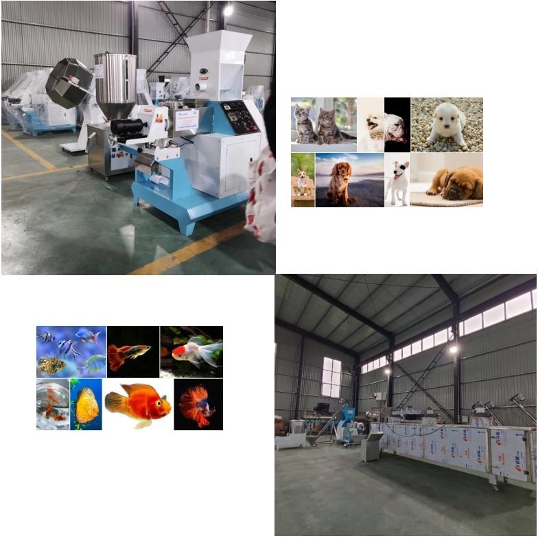 Linha de produção de sopro 50 quilograma da alimentação automática da extrusora/h a 5000 quilogramas/h