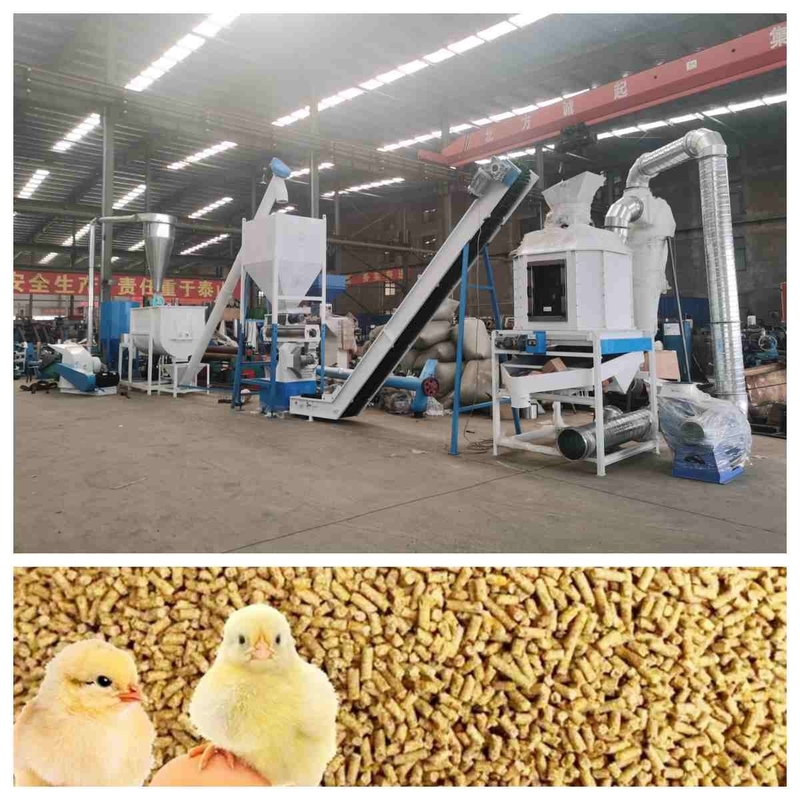Linha de produção 5t/H da pelota da alimentação do CE Ring Die Feed Pellet Machine com gerador de vapor