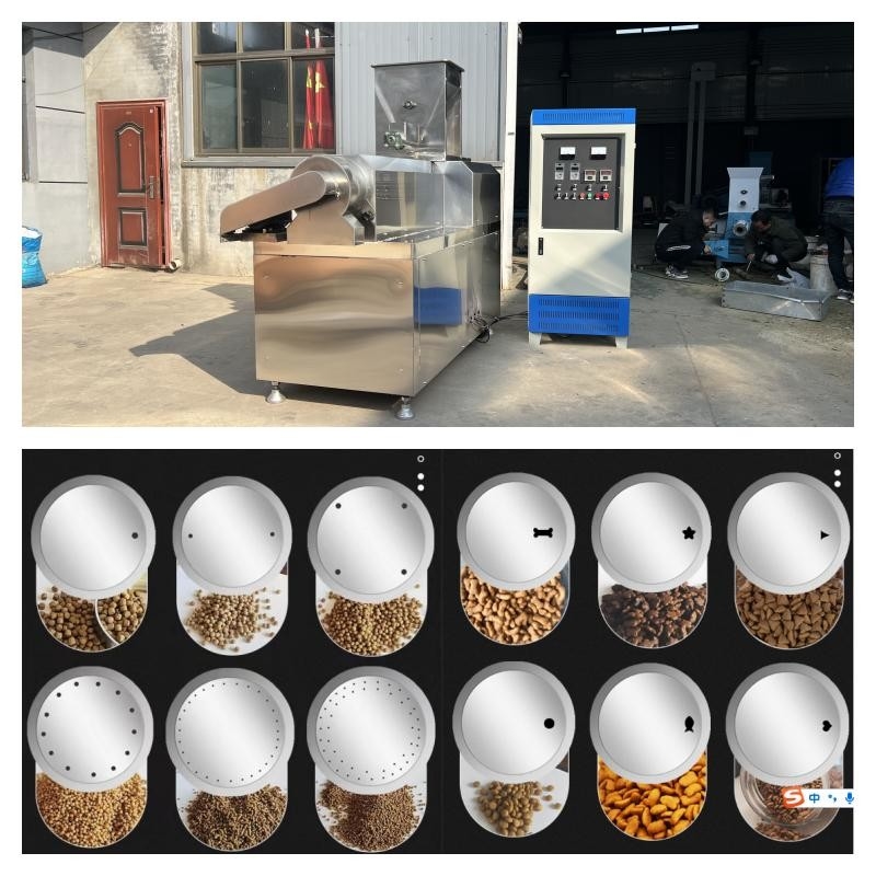 O tipo seco de aço inoxidável peixe alimenta à extrusora 55kw a linha de produção seca dos alimentos para animais de estimação
