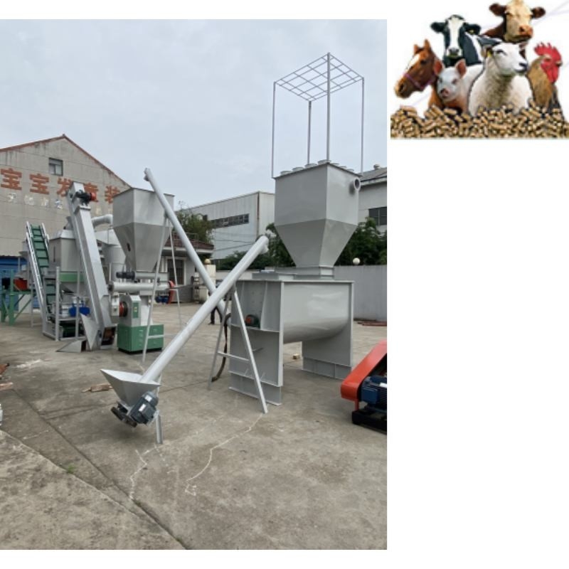 a linha de produção Ring Die Poultry Feed Pellet da pelota da alimentação 500kg/H animal mói a alimentação animal