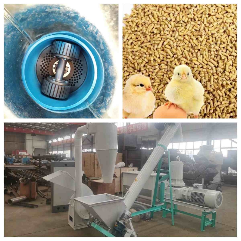 O plano morre linha de produção pequena da pelota da alimentação animal do fabricante 300kg/H -1000Kg/H da pelota da alimentação
