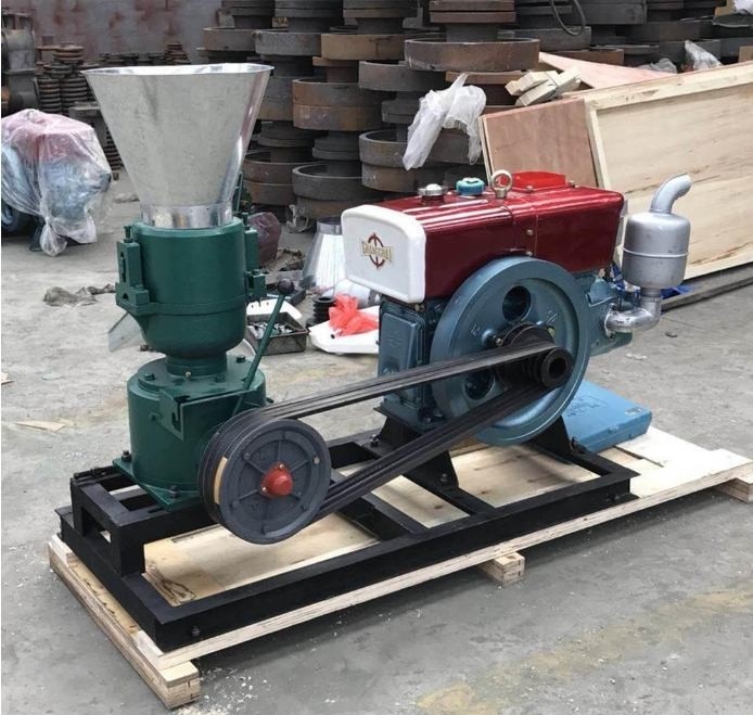 22HP Feed Pellet Mill Customização de cor para ração de frango
