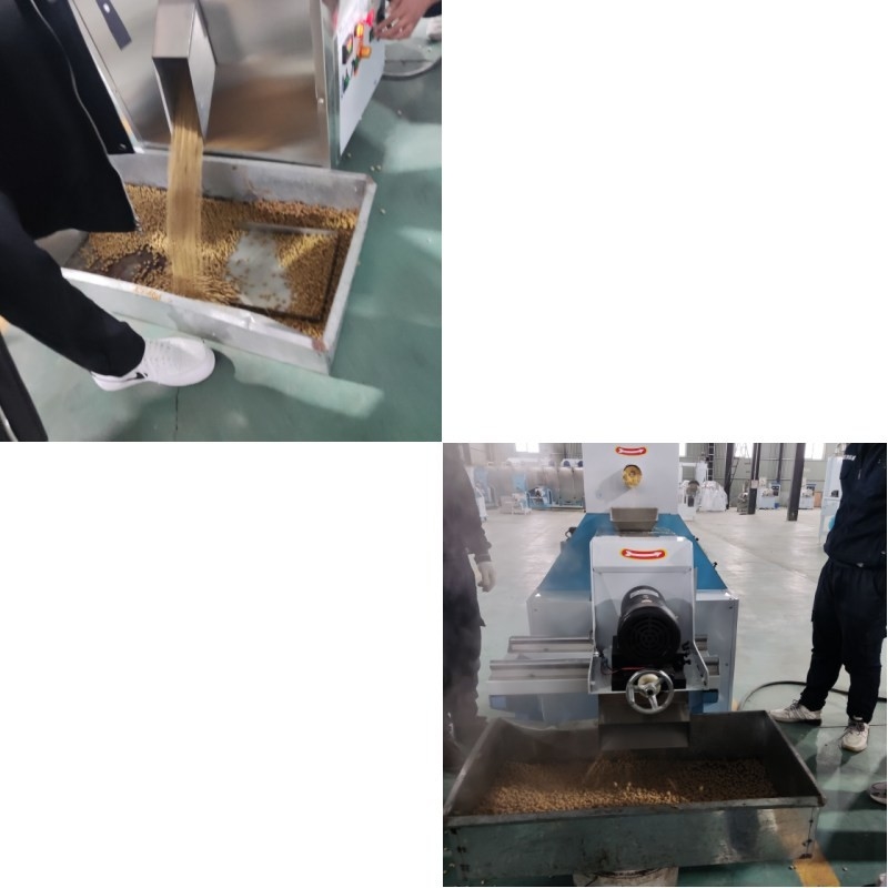 Extrusora automática de alimentação para peixes de tipo seco