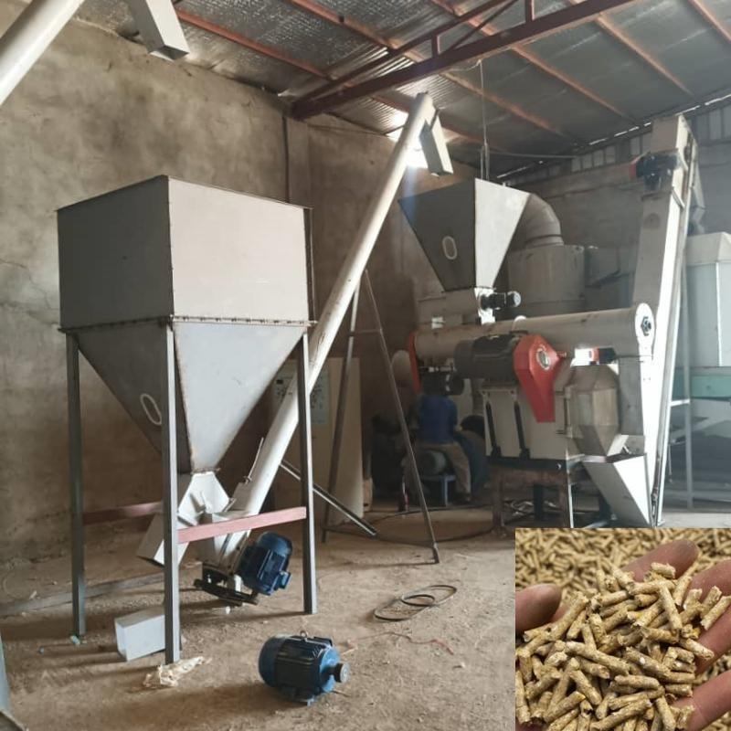 Linha de produção de pellets para animais de criação de aves de capoeira