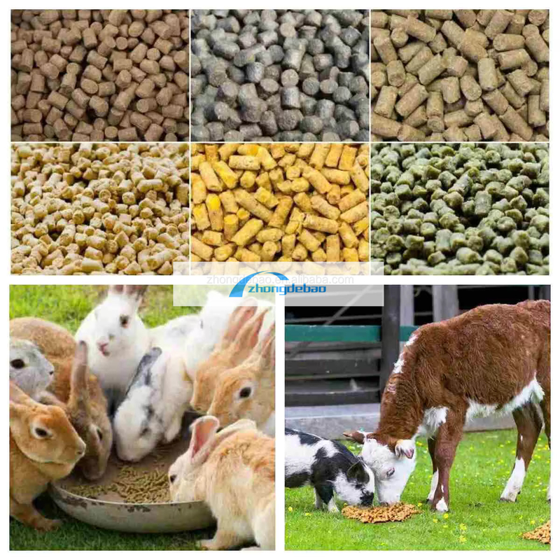 Máquina de fabricação de alimentos para animais de nova geração máquina de pellets para alimentos para peixes 90-120 KG/H fábrica de pellets para alimentos