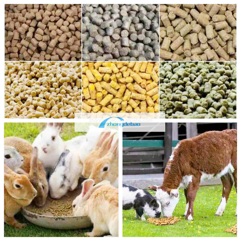 600-800 KG/H de produção de peixe fábrica de alimentos para animais para cães e gatos equipamento de pellets para alimentação animal extrusora de alimentos pelletizer máquina