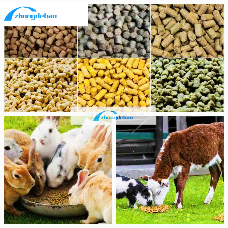 Novo projeto 10HP Diesel Tipo de alimentação Pellet Machine 90kg/h máquina de moagem de alimentos para animais